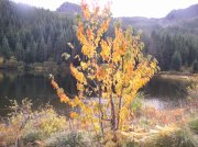 Tom Dick and Harry Peak 014 